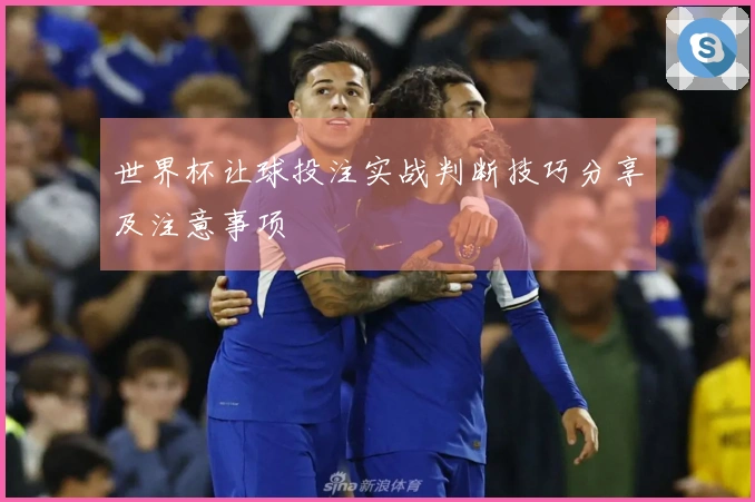 世界杯让球投注实战判断技巧分享及注意事项