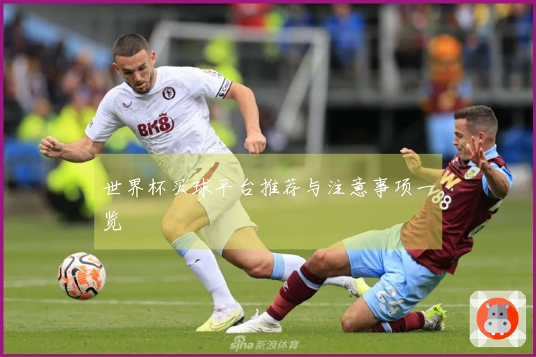 世界杯买球平台推荐与注意事项一览