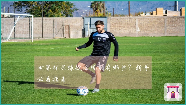 世界杯买球投注规则有哪些？新手必看指南