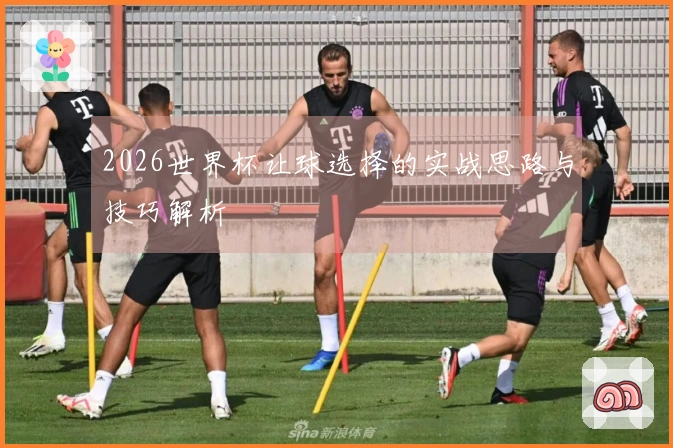 2026世界杯让球选择的实战思路与技巧解析