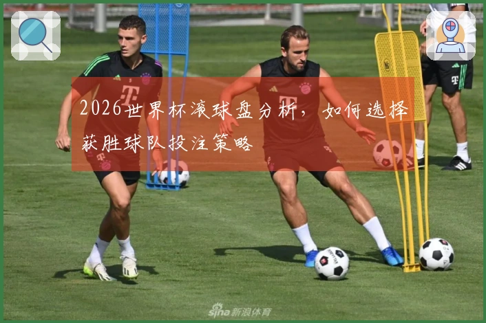 2026世界杯滚球盘分析，如何选择获胜球队投注策略