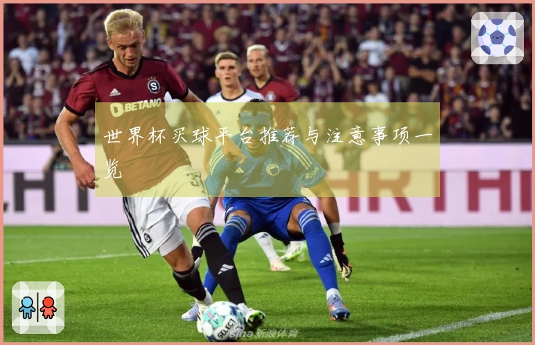 世界杯买球平台推荐与注意事项一览